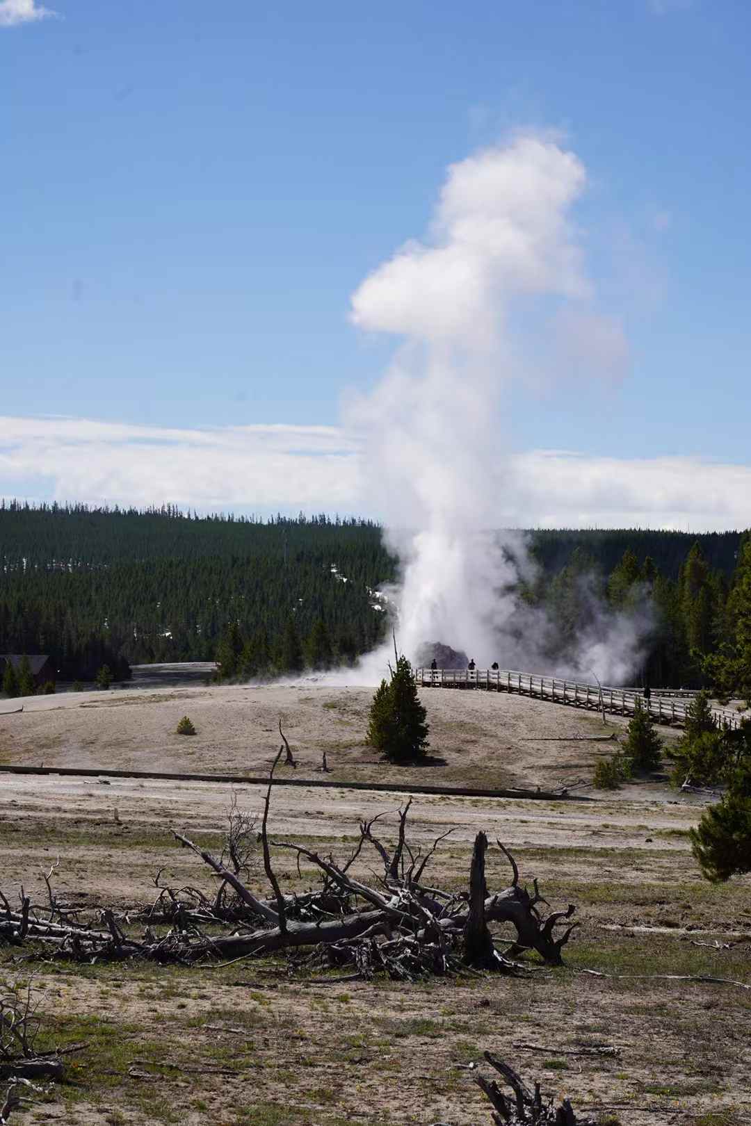 Yellowstone 12
