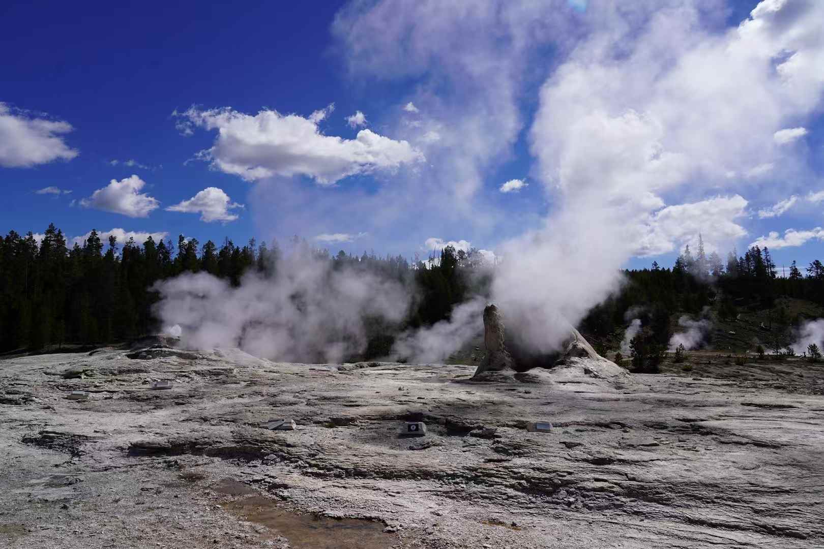 Yellowstone 13