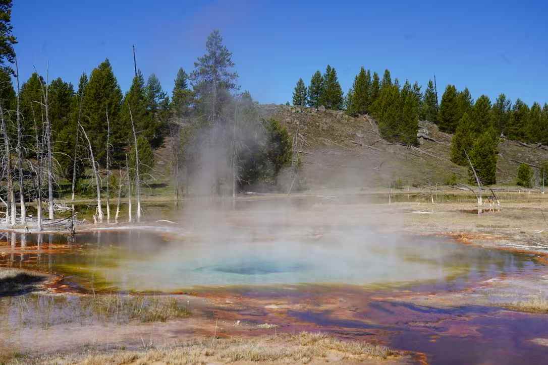 Yellowstone 16