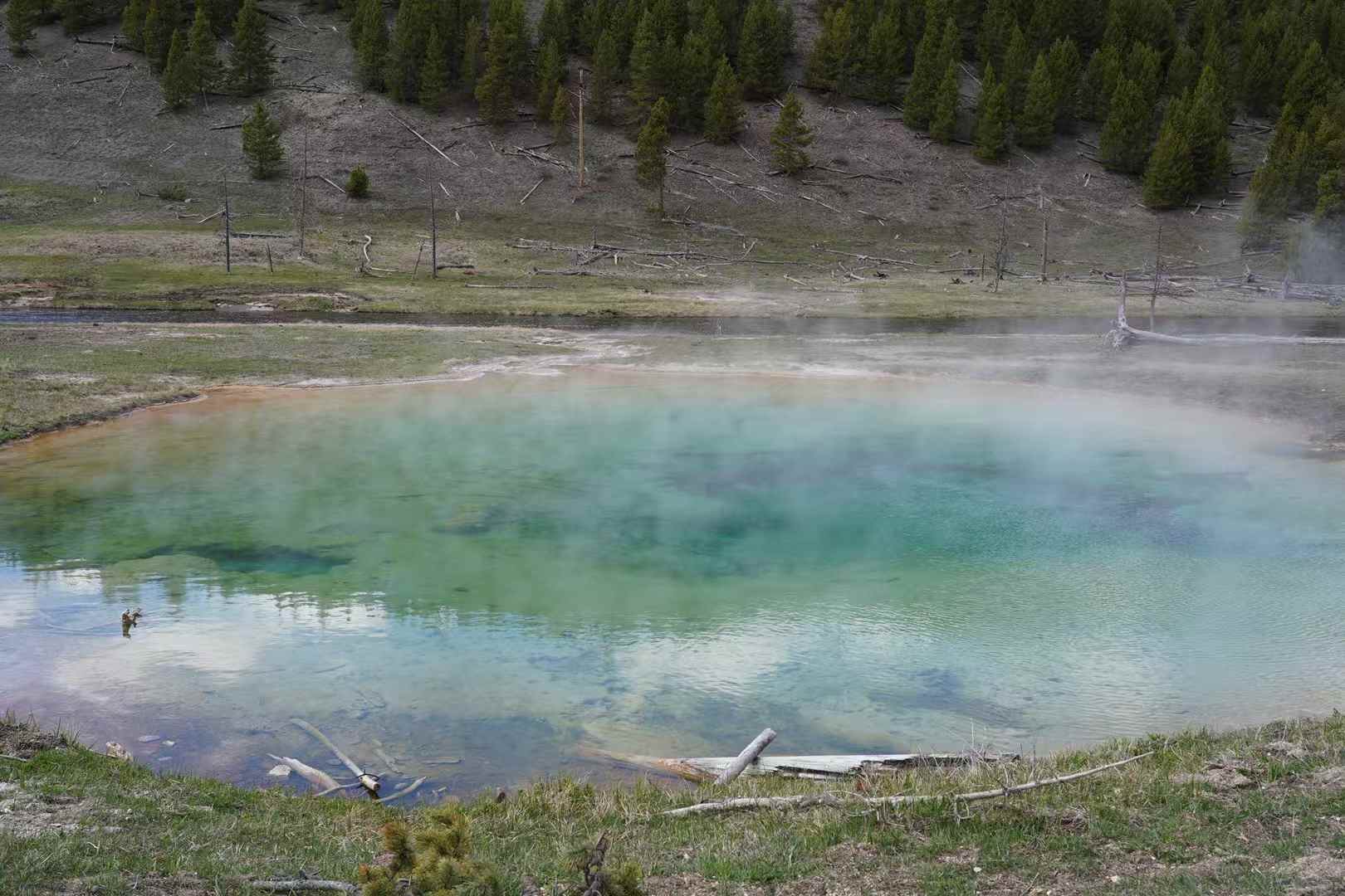 Yellowstone 20