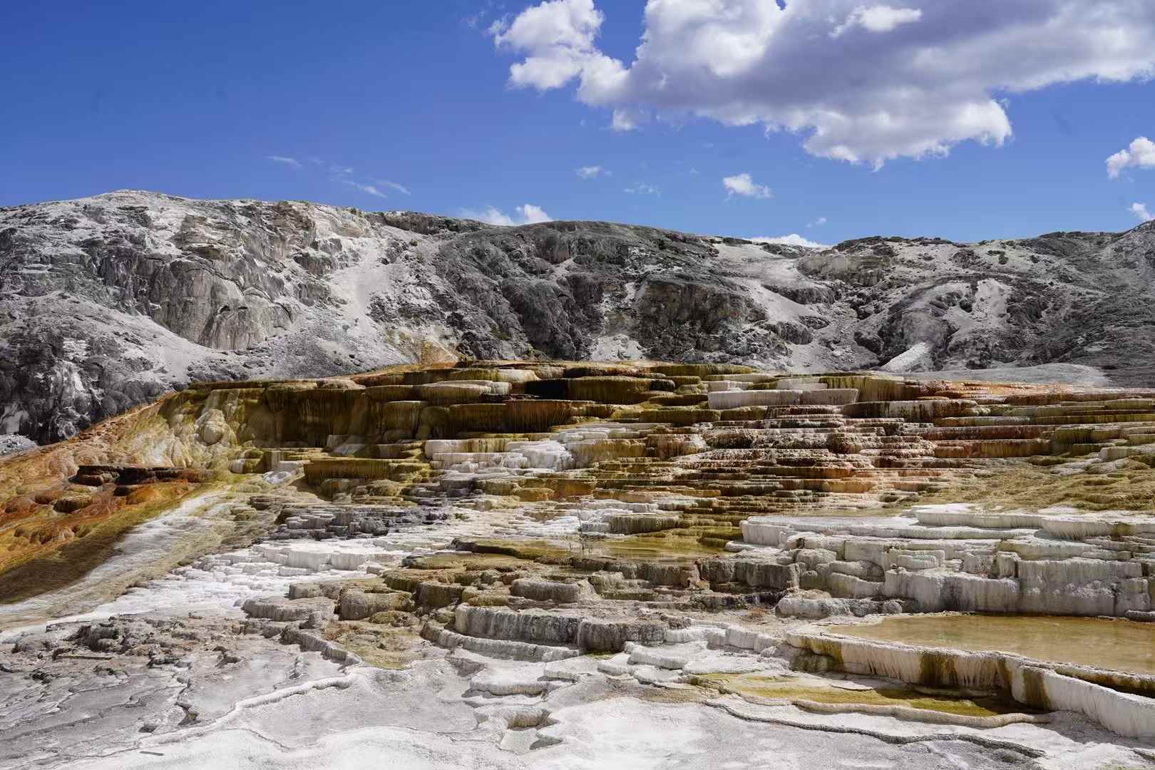Yellowstone 23
