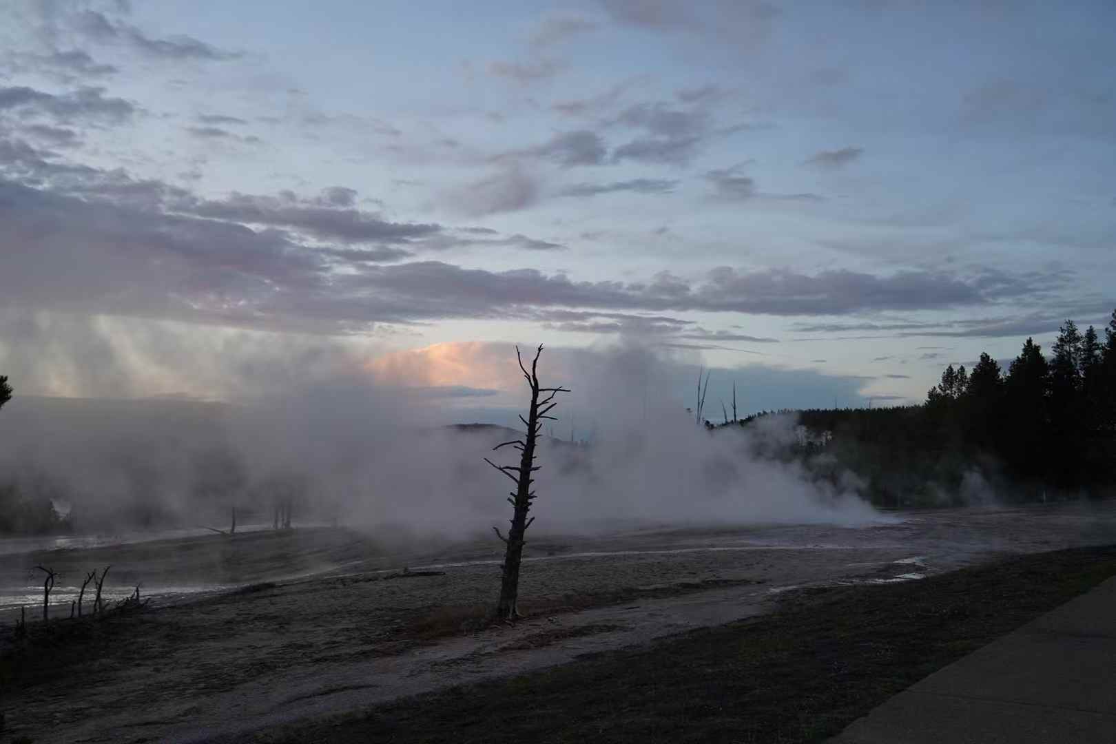 Yellowstone 28