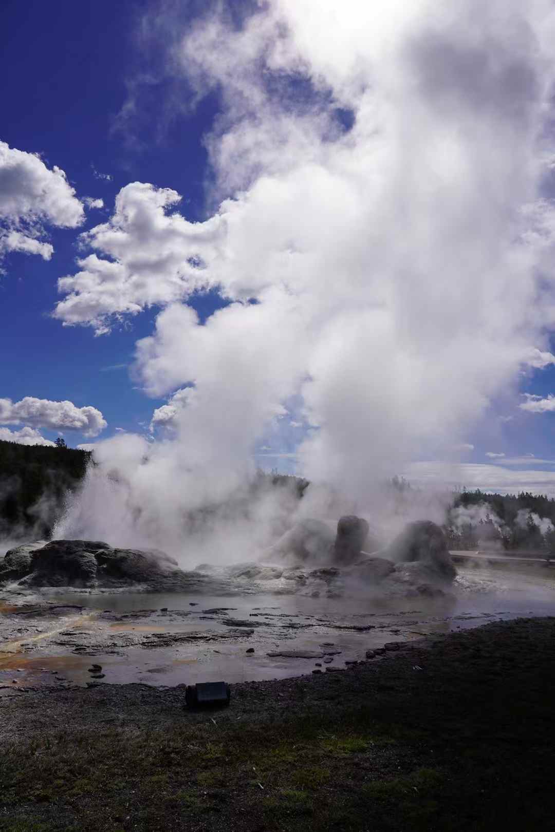 Yellowstone 7