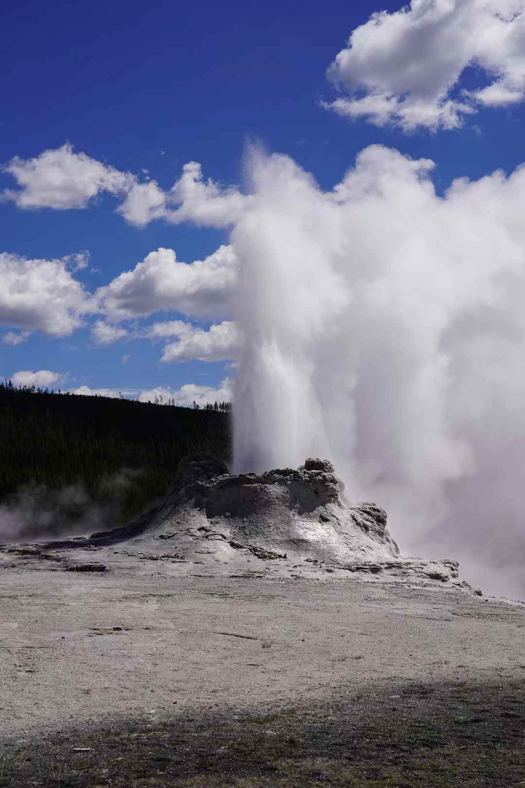 Yellowstone 8