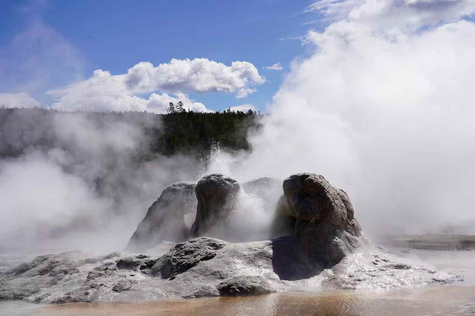 Yellowstone 9
